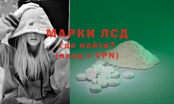 PSILOCYBIN Сосновка