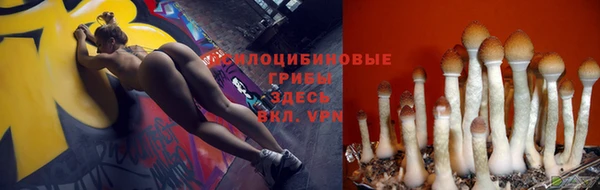 мяу мяу мука Беломорск