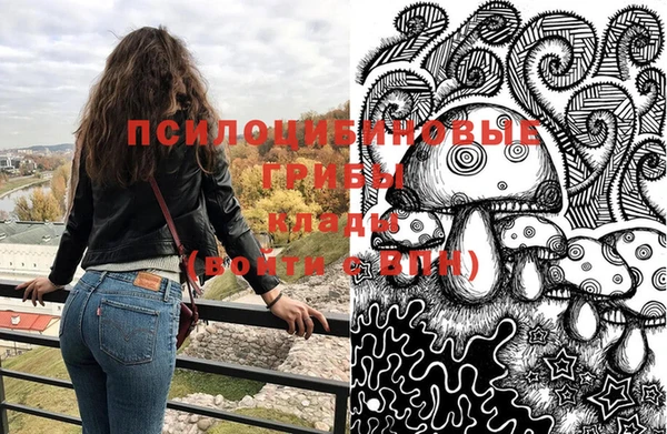 кокаин Белокуриха